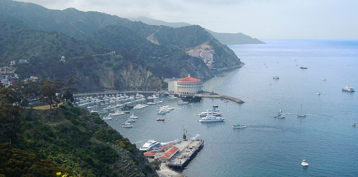 What are some popular Catalina Island vacation packages?