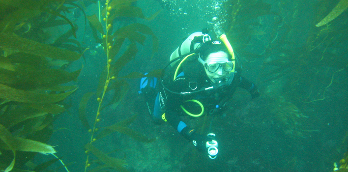 catalina dive 2