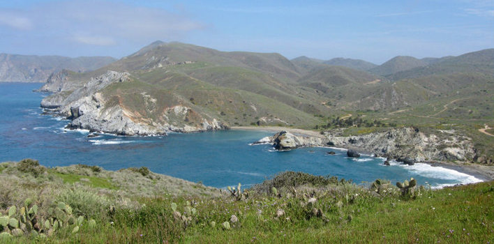 little harbor catalina island